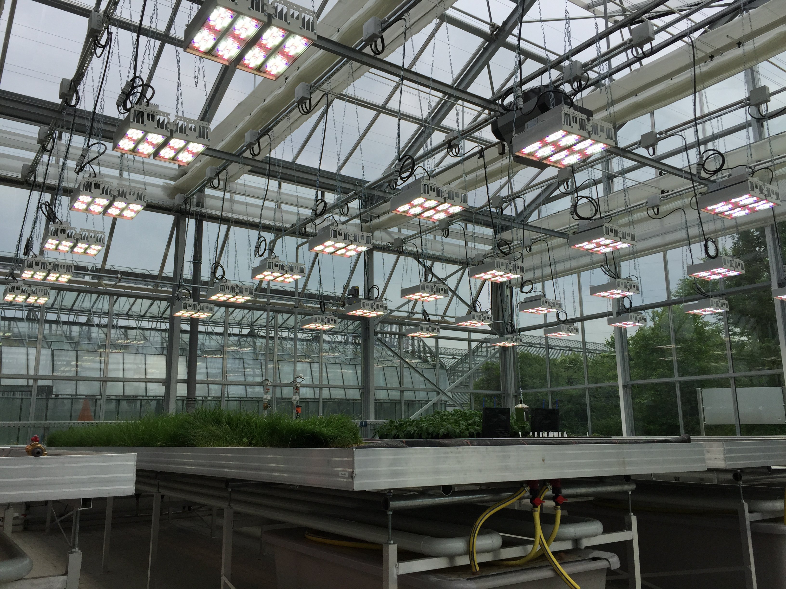 DE_LFL_Greenhouse_R300_RRi_Public (6)