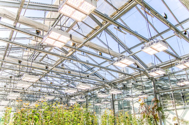 Greenhouse_RX400_12-2