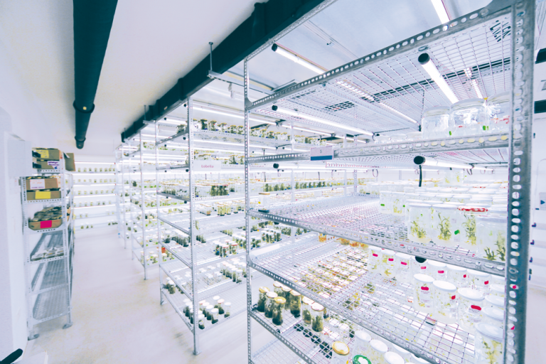 Wide-spectrum-LED-1-768x512