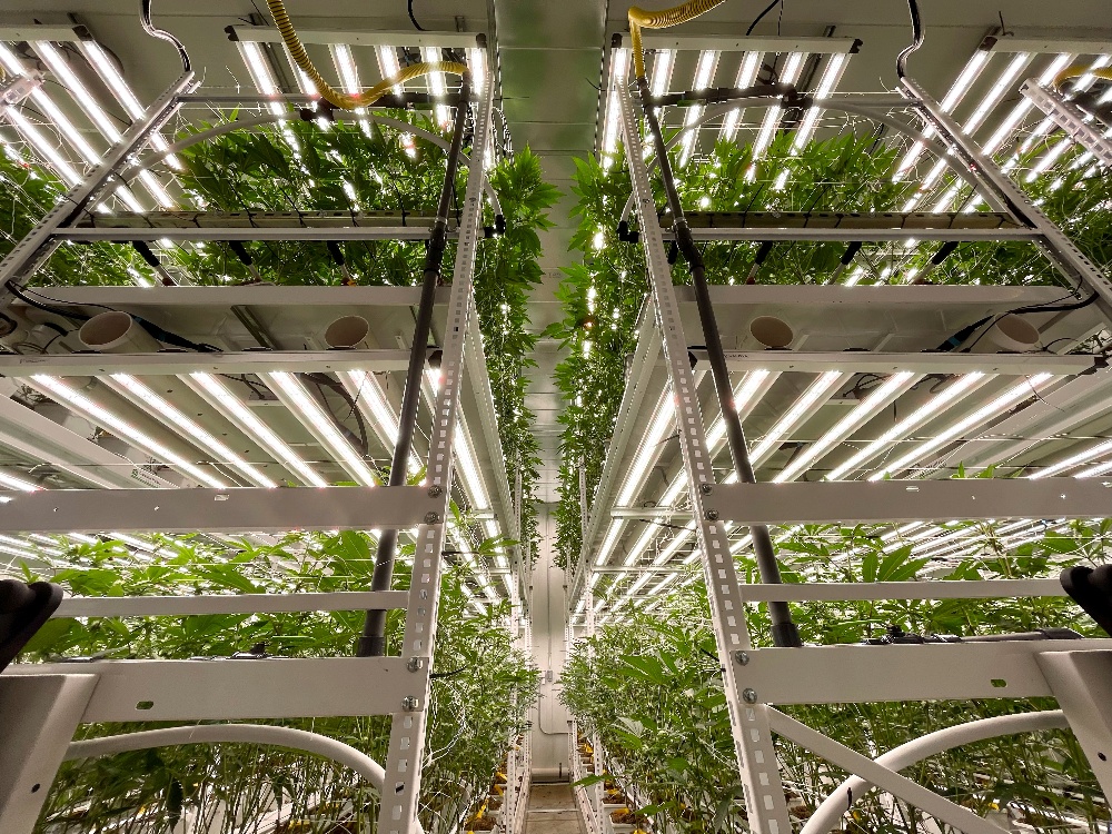 PearlPharma_RFseriesMultiTier230501-1