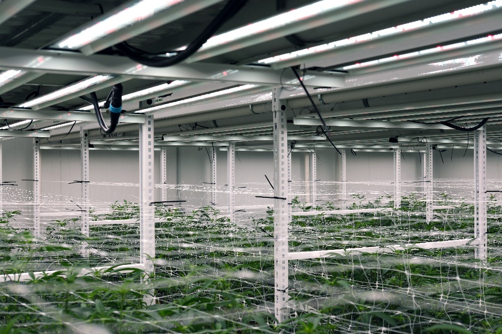 Pearl_RFseriesBackCorner-2-1