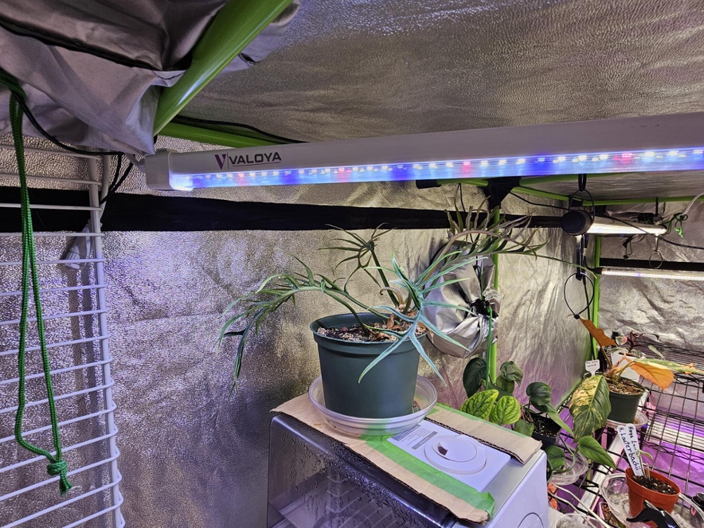 PossibleClonebarHeader-1