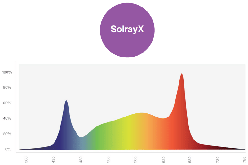 SolrayX